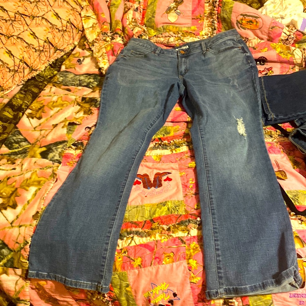 Sonoma 14R bootcut midride jeans